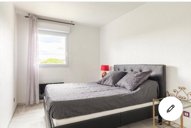 Superbe Appartement T3 Avec Piscine モンペリエ エクステリア 写真